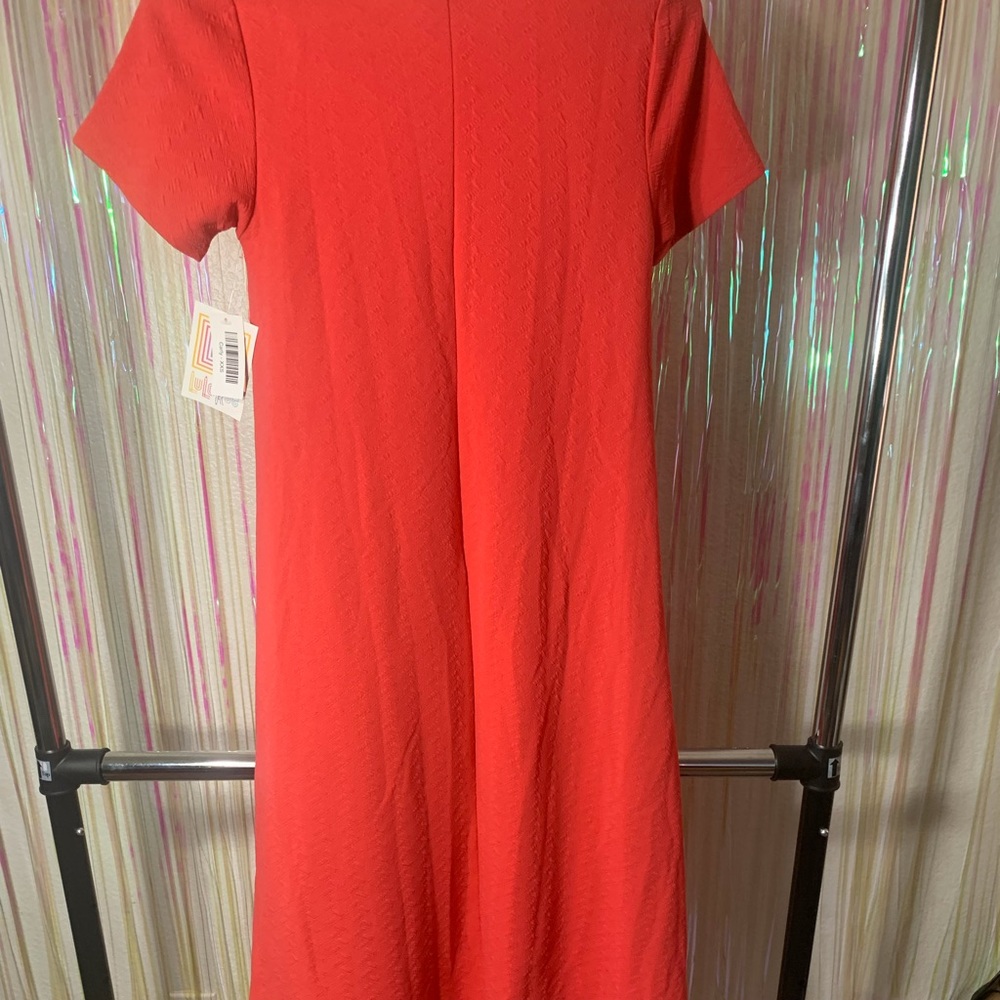 NWT LulaRoe “Carly” Dress - Picture 4 of 5